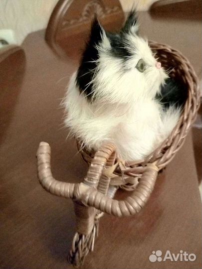 Пушистая кошечка в корзинке