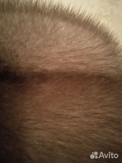 Шапка из норки 58 р