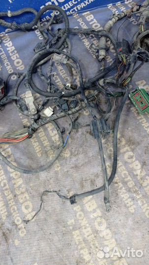 Проводка подкапотная Ford Focus 2 седан qqdb 2007
