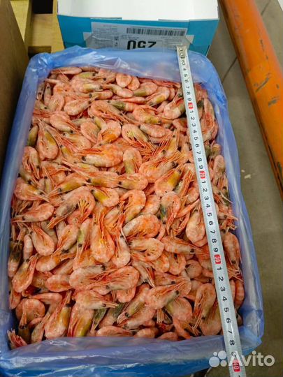 Креветка северная 250+ вар/ Мурманск