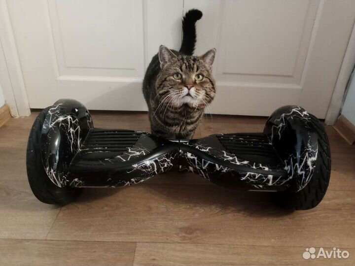 Гироскутер б/у