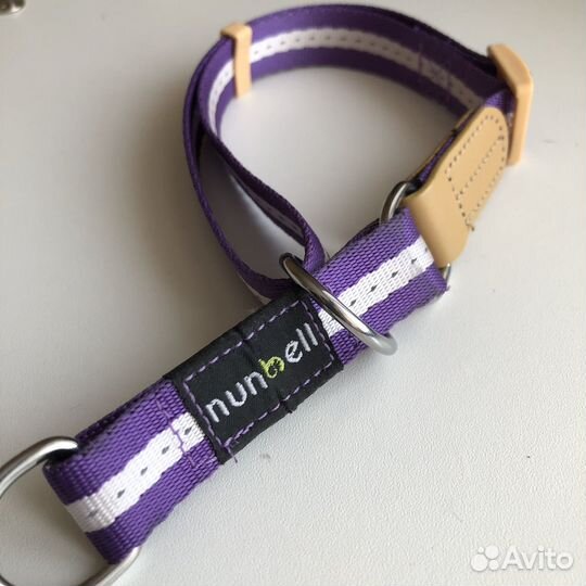 Амуниция для собак