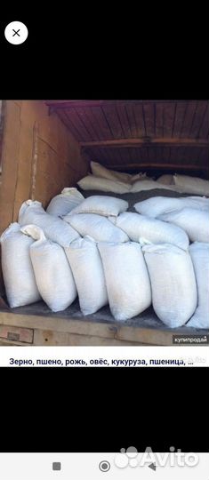 Пшеница, ячмень, овëс