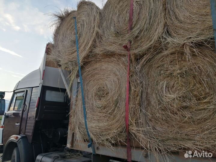 Сено в рулонах с доставкой