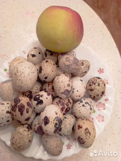 Яйца перепелиные домашние