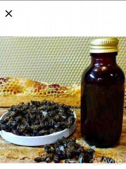 Огнёвка, пжвм