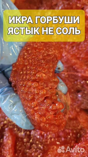 Икра лососевых свежая (ястык). (Горбуша)