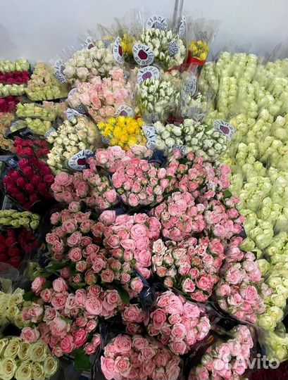 Розы упаковкой