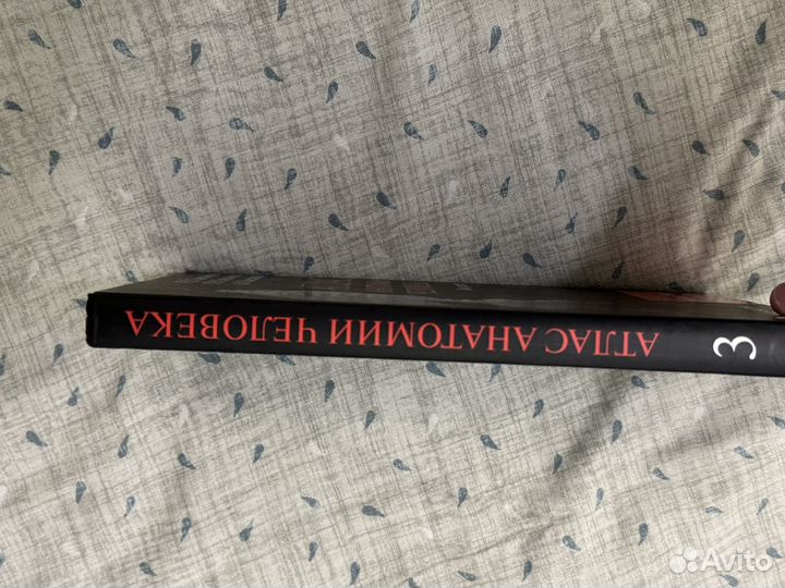 Атлас анатомии человека синельников 3 том