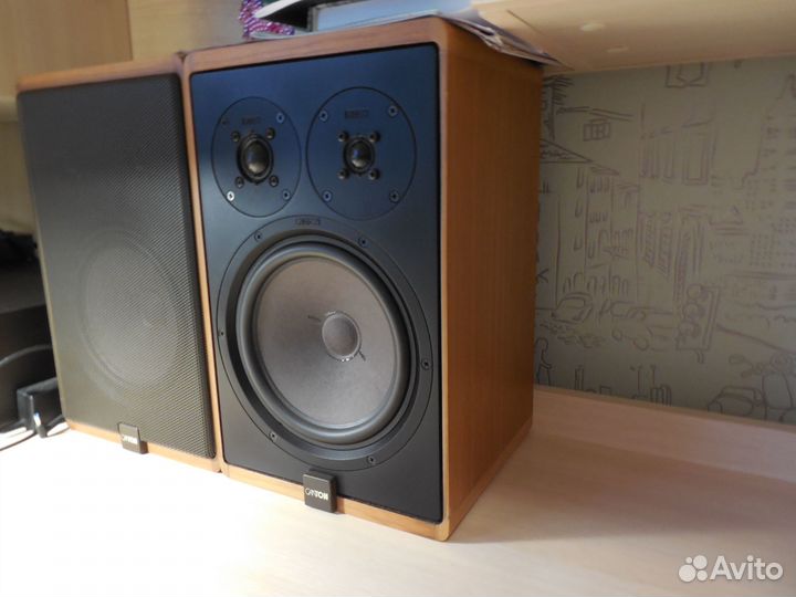 Германские колонки Canton Quinto 520