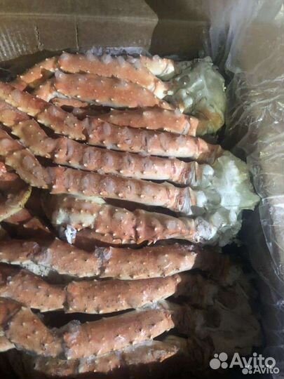 Краб камчатский