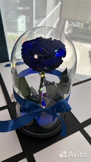 Светильник роза стабилизированная