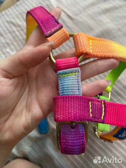 Недоуздок для пони tattini