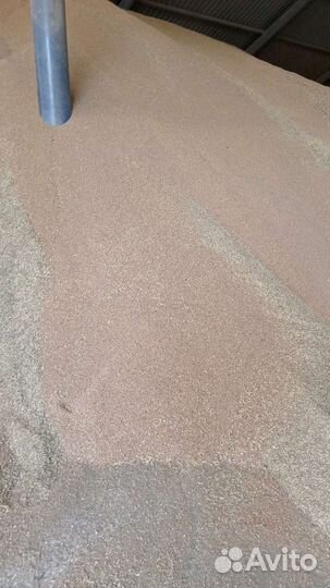 Зерно фураж. пшеница. Горох