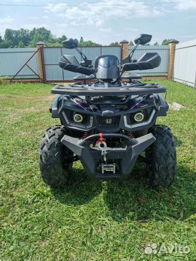 Avantis hunter 200 big lux