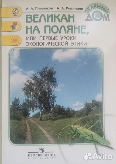 Плешаков. Великан на поляне