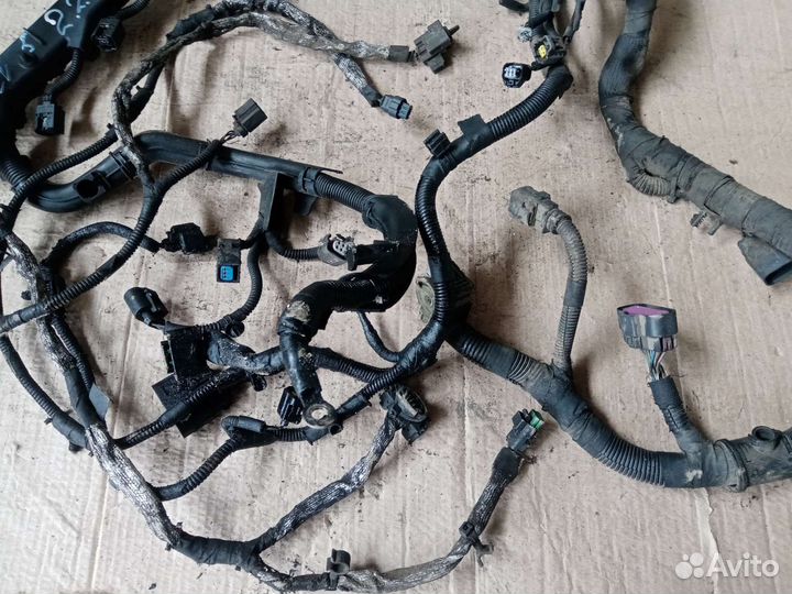 Проводка двигателя ford transit 2.2 евра 4