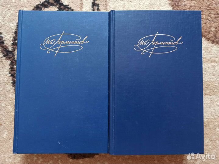 Лермонтов М. Ю. Двухтомник