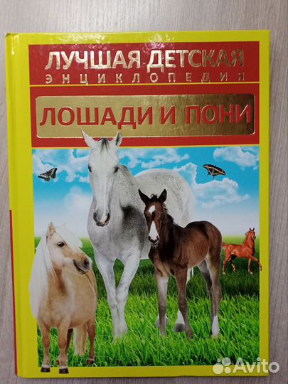 Детская энциклопедия про лошадей