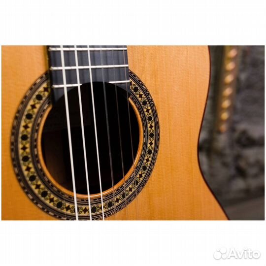 Perez 650 Cedar - Гитара классическая 4/4