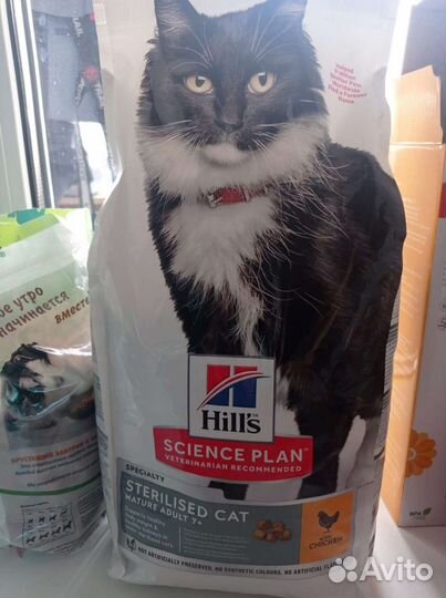 Корм для кошки Hills