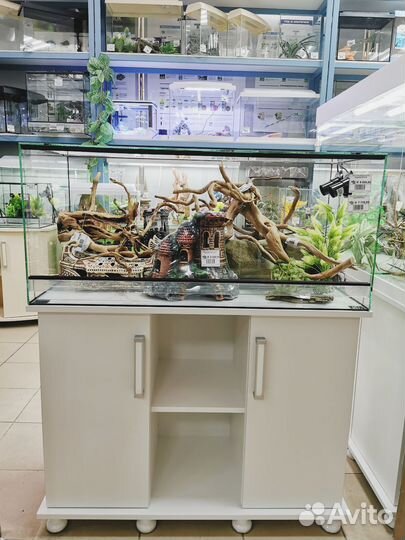 Террариумы