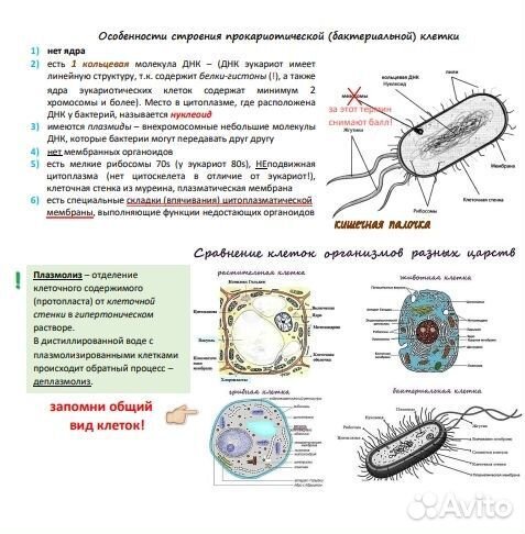 Супер книга для подготовки к ЕГЭ по биологии