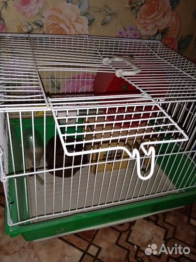Клетка для грызунов с колесом, поилкой, домиком тд
