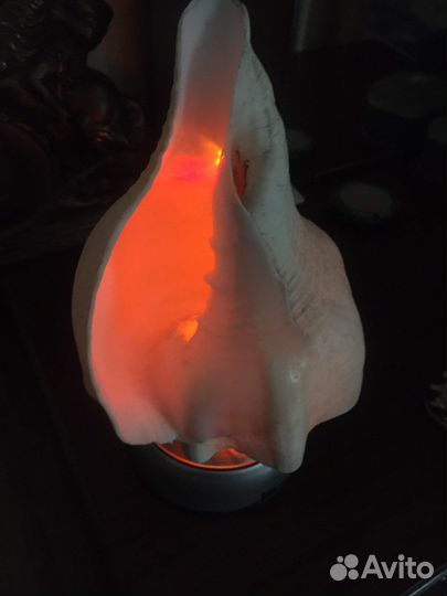 Ракушки, аксессуары для аквариума, статуэтки рыбы