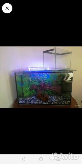 Аквариум