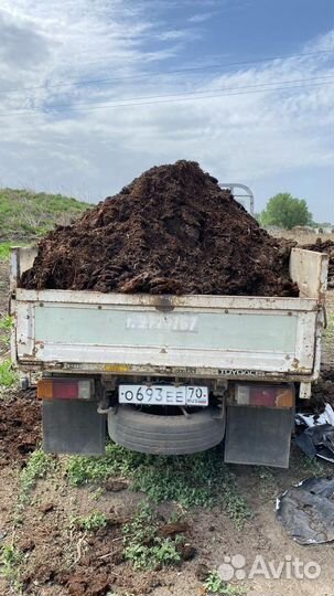 Перегной коровий