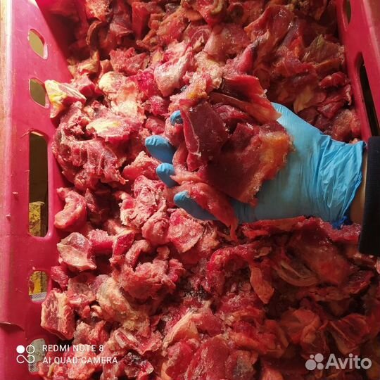 Мясо говядина обрезь для собак