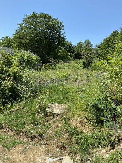 Участок 5,2 сот. (СНТ, ДНП)