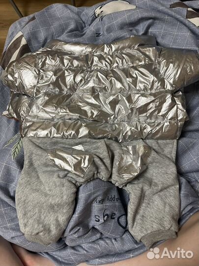 Комбинезон для собаки