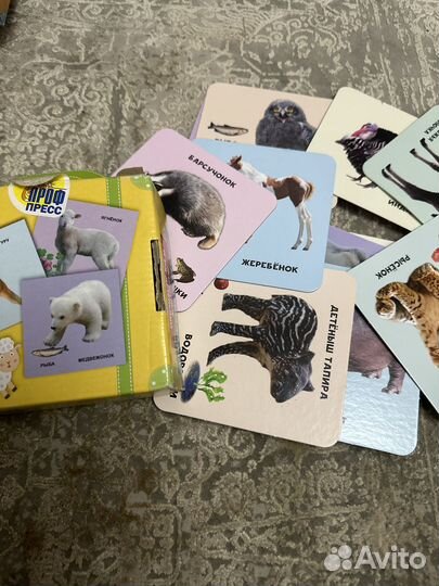 Умный чемоданчик Карточки