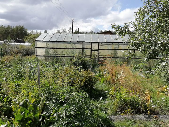 Дача 30 м² на участке 5 сот.