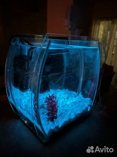 Аквариум с рыбками