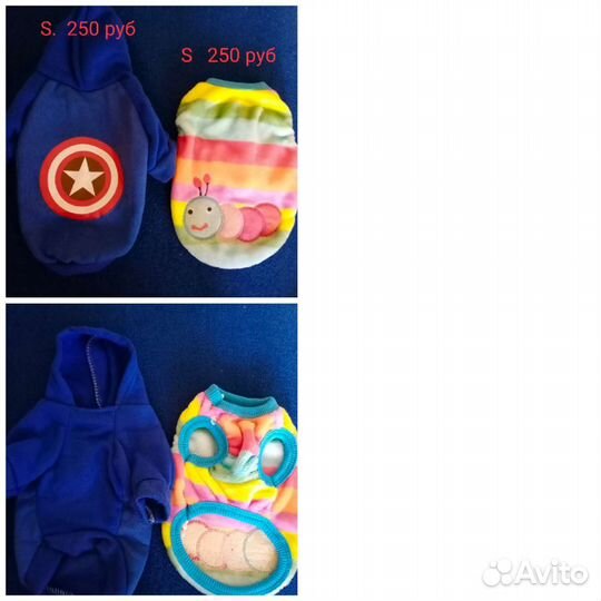 Одежда для собак