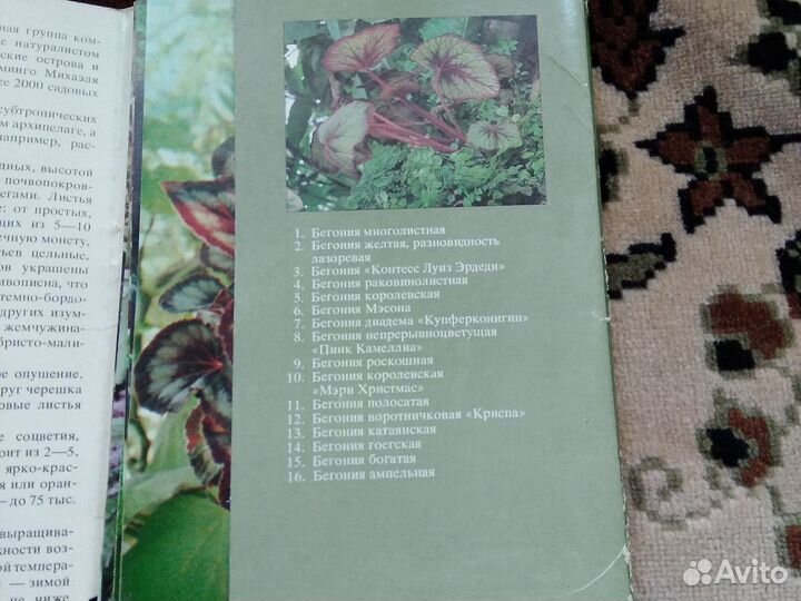 Открытки комнатные растения