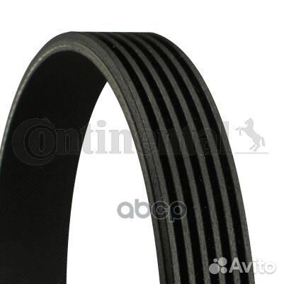 Ремень ручейковый 6PK1555 6PK1555 ContiTech