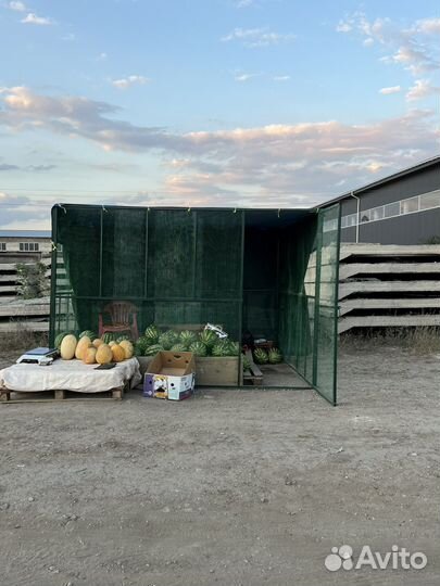 Арбузная клетка