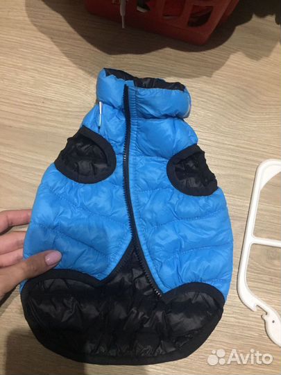 Одежда для мини собак