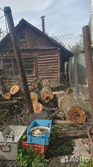 Дрова бесплатно. Груша. Самовывоз