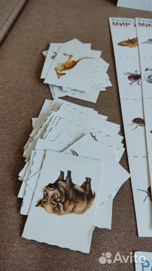 Пособие Развивающие карточки для детей 192 шт