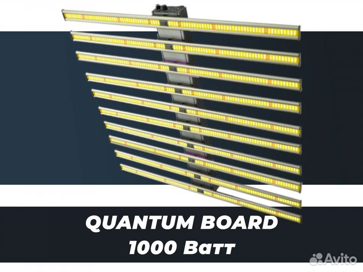 Quantum board свет для роста 1000w фитолампа