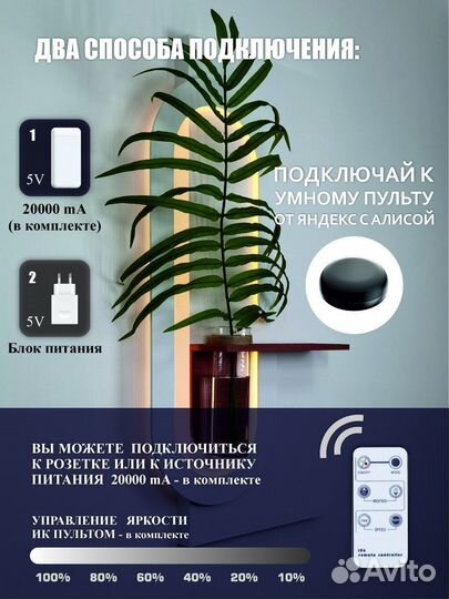 Настенный декор. Гидропоника