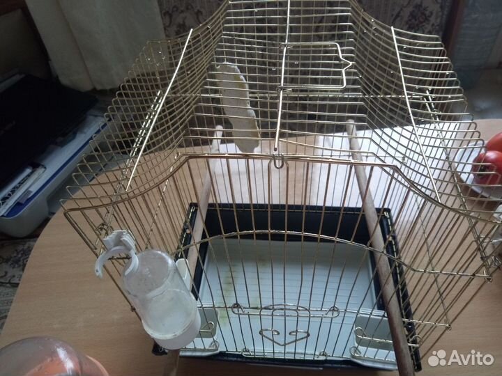 Клетка для попугая