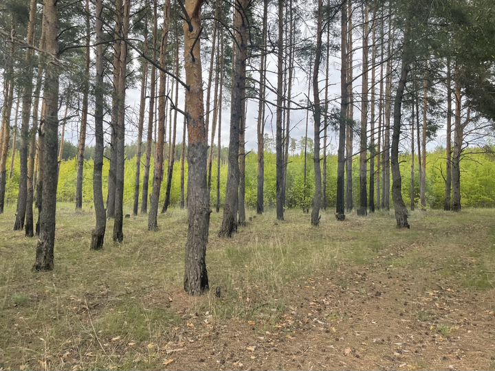 Участок 1,4 га (СНТ, ДНП)