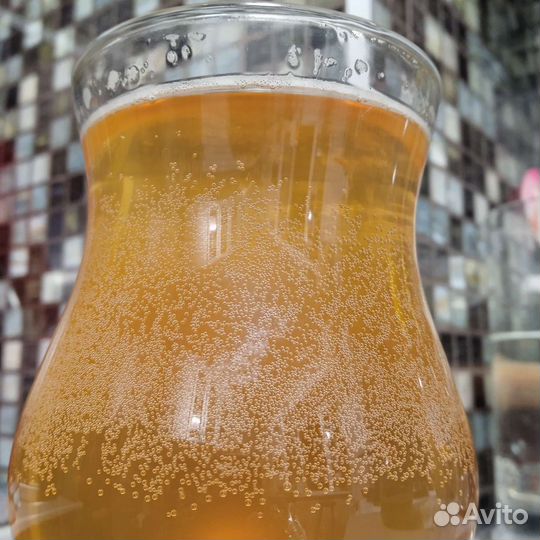 Чайный гриб / комбуча