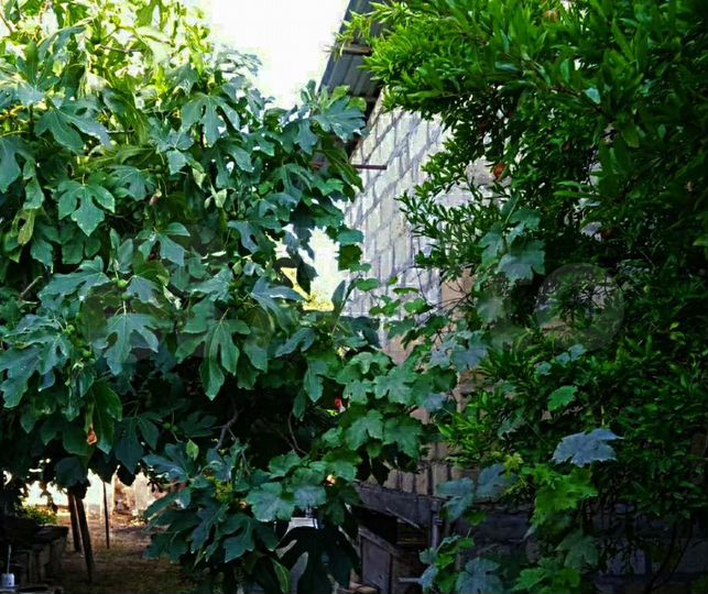 Дача 80 м² на участке 10 сот.